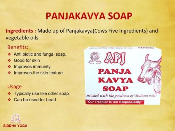 PANJA KAVYA SOAP - Image 2