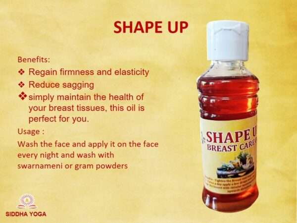 SHAPE UP - Image 2