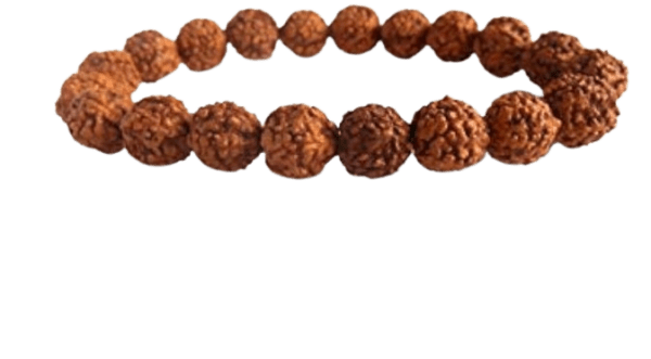 Rudraksha Bracelet